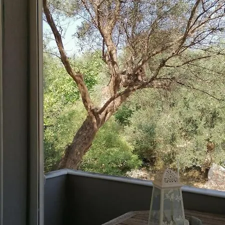 Vakantiehuis Family House *
