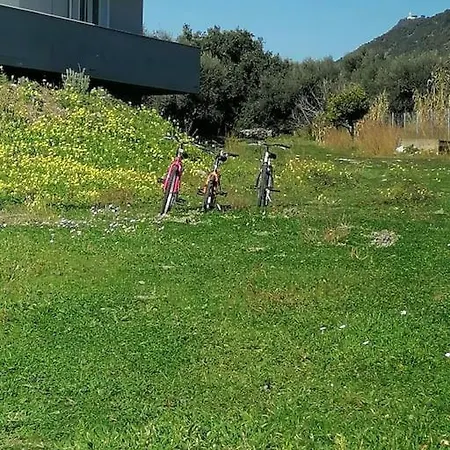 Family House Vakantiehuis